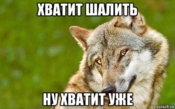 хватит шалить ну хватит уже, Мем   Volf