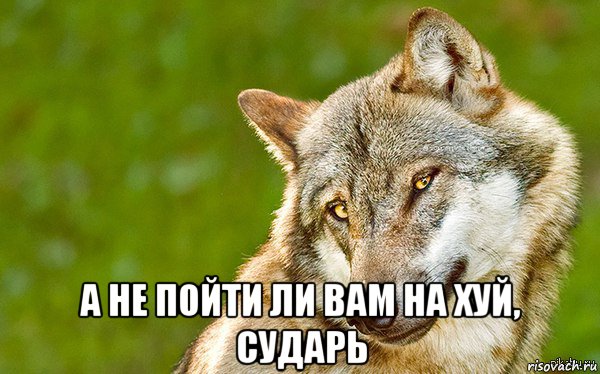  а не пойти ли вам на хуй, сударь, Мем   Volf