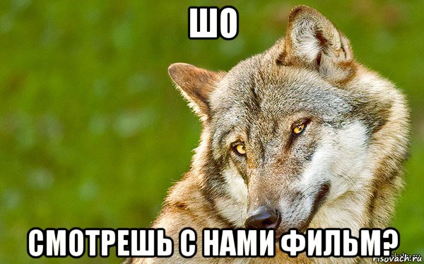 шо смотрешь с нами фильм?, Мем   Volf