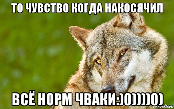 то чувство когда накосячил всё норм чваки:)0))))0), Мем   Volf