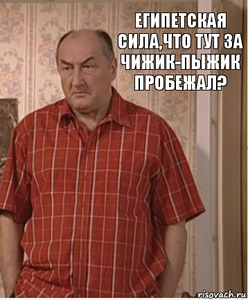 египетская сила,что тут за чижик-пыжик пробежал?, Комикс Николай Петрович Воронин