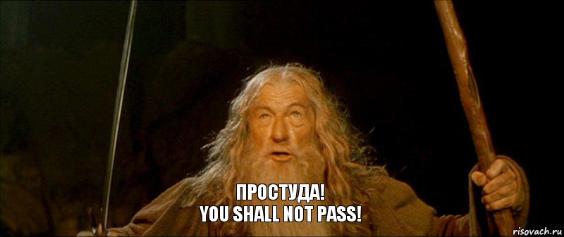 Простуда!
You shall not pass!, Комикс you shall not pass