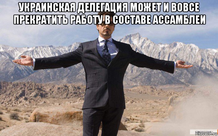 украинская делегация может и вовсе прекратить работу в составе ассамблеи , Мем железный человек