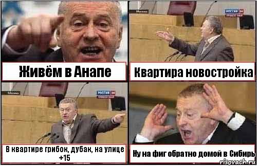 Живём в Анапе Квартира новостройка В квартире грибок, дубак, на улице +15 Ну на фиг обратно домой в Сибирь, Комикс жиреновский