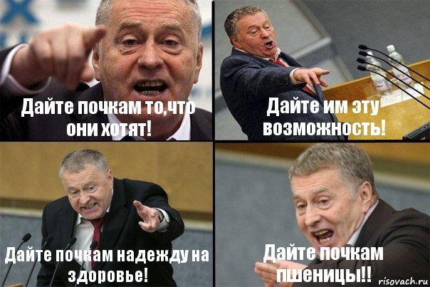 Дайте почкам то,что они хотят! Дайте им эту возможность! Дайте почкам надежду на здоровье! Дайте почкам пшеницы!!, Комикс Жирик