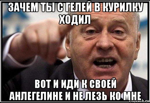 зачем ты с гелей в курилку ходил вот и иди к своей анлегелине и не лезь ко мне, Мем жириновский ты