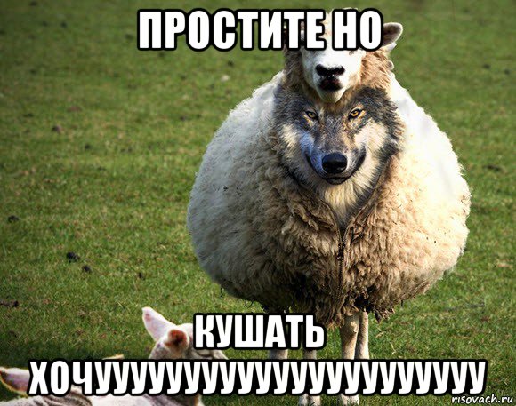 простите но кушать хочуууууууууууууууууууууу, Мем Злая Овца