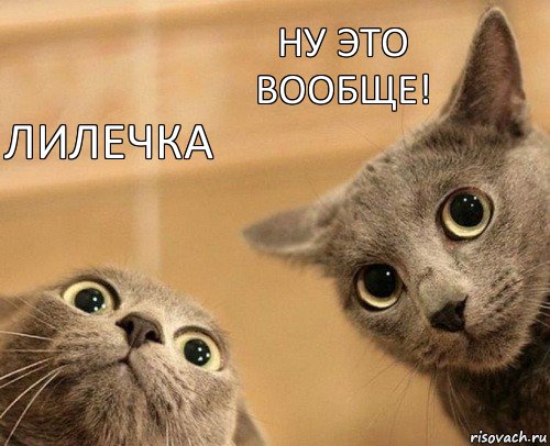 лилечка ну это вообще!, Комикс  2 кота