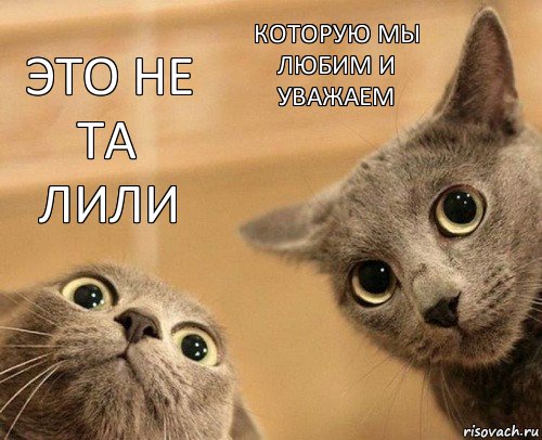 это не та лили которую мы любим и уважаем, Комикс  2 кота