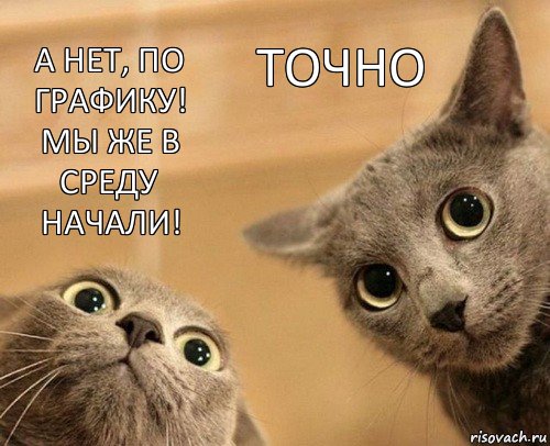 а нет, по графику! мы же в среду начали! точно, Комикс  2 кота