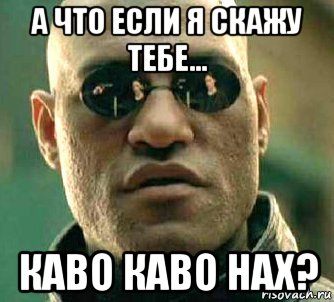 а что если я скажу тебе... каво каво нах?, Мем  а что если я скажу тебе