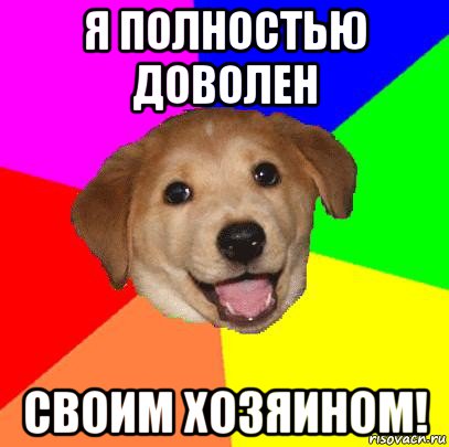 я полностью доволен своим хозяином!, Мем Advice Dog