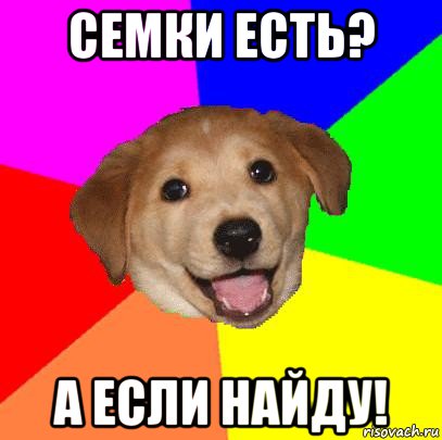 семки есть? а если найду!, Мем Advice Dog