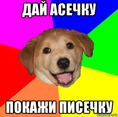 дай асечку покажи писечку, Мем Advice Dog