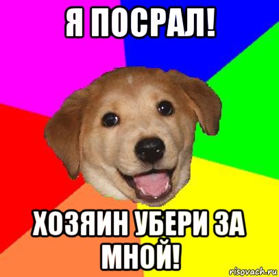 я посрал! хозяин убери за мной!, Мем Advice Dog