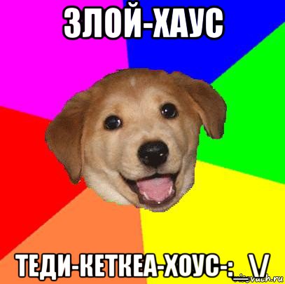 3лой-хаус теди-кеткеа-хоус-:_\/, Мем Advice Dog