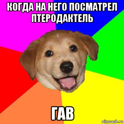 когда на него посматрел птеродактель гав, Мем Advice Dog