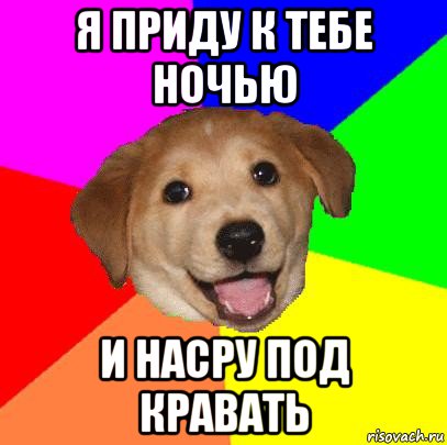 я приду к тебе ночью и насру под кравать, Мем Advice Dog