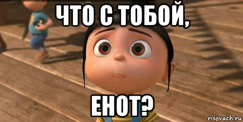 что с тобой, енот?, Мем    Агнес Грю