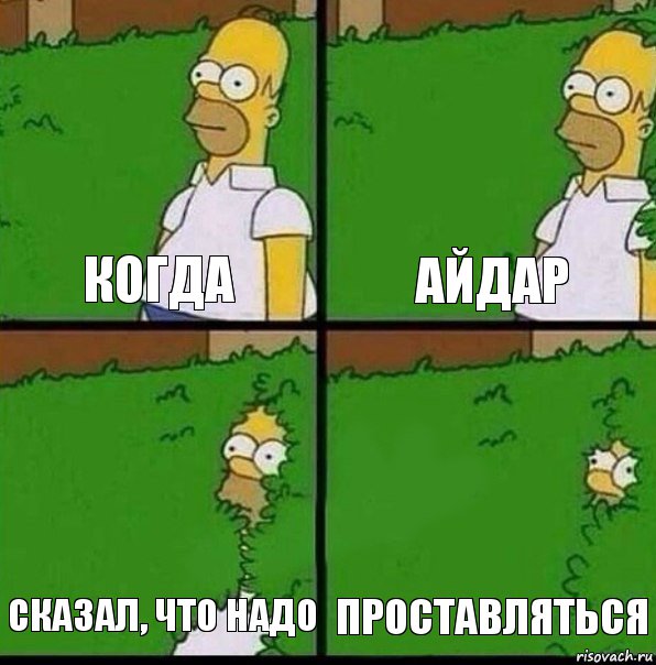 Когда Айдар Сказал, что надо Проставляться, Комикс Гомер спрятался в кусты