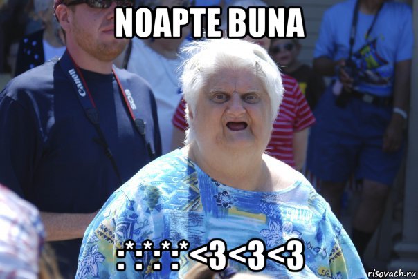 noapte buna :*:*:*:*<3<3<3, Мем Шта (Бабка wat)