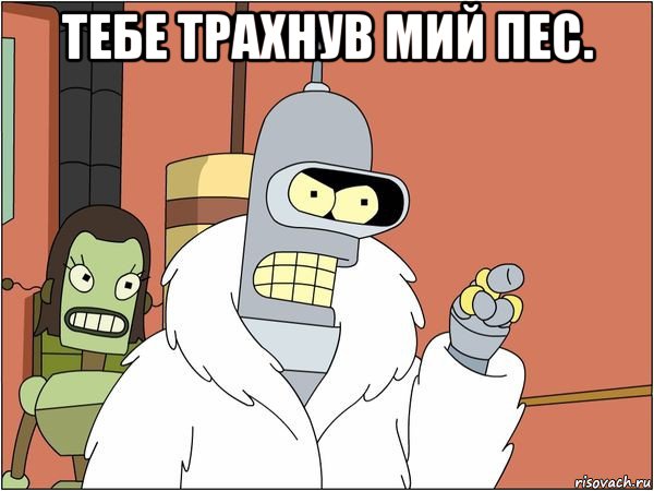 тебе трахнув мий пес. , Мем Бендер