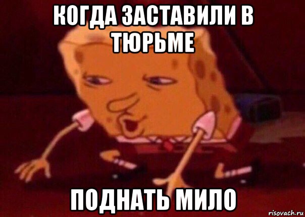 когда заставили в тюрьме поднать мило, Мем    Bettingmemes