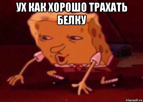 ух как хорошо трахать белку , Мем    Bettingmemes