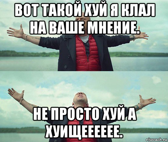 вот такой хуй я клал на ваше мнение. не просто хуй а хуищееееее., Мем Безлимитище