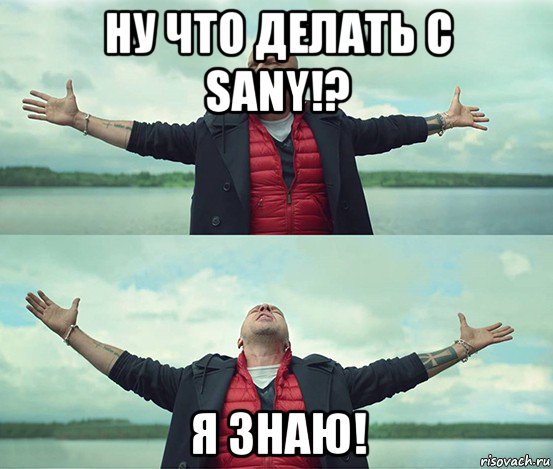 ну что делать с sany!? я знаю!, Мем Безлимитище