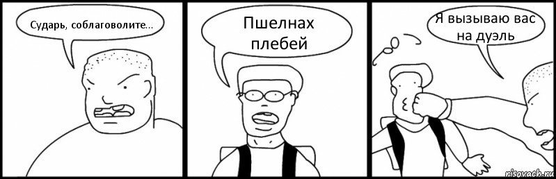 Сударь, соблаговолите... Пшелнах плебей Я вызываю вас на дуэль