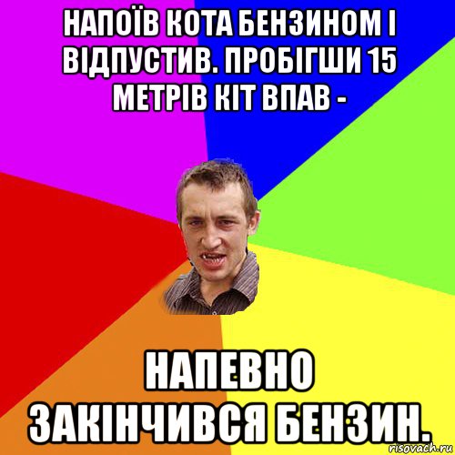 напоїв кота бензином і відпустив. пробігши 15 метрів кіт впав - напевно закінчився бензин., Мем Чоткий паца