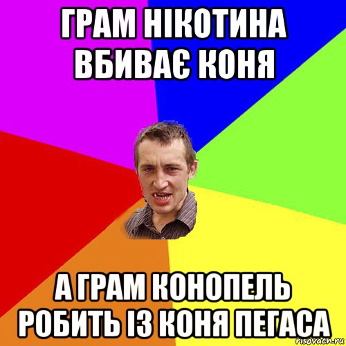 грам нікотина вбиває коня а грам конопель робить із коня пегаса, Мем Чоткий паца