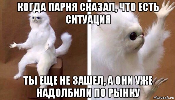 когда парня сказал, что есть ситуация ты еще не зашел, а они уже надолбили по рынку, Мем Чучело кота