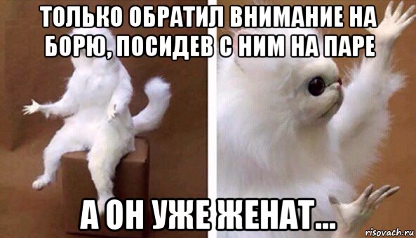 только обратил внимание на борю, посидев с ним на паре а он уже женат..., Мем Чучело кота