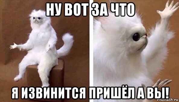 ну вот за что я извинится пришёл а вы!, Мем Чучело кота