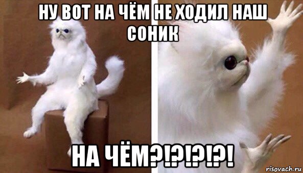 ну вот на чём не ходил наш соник на чём?!?!?!?!, Мем Чучело кота