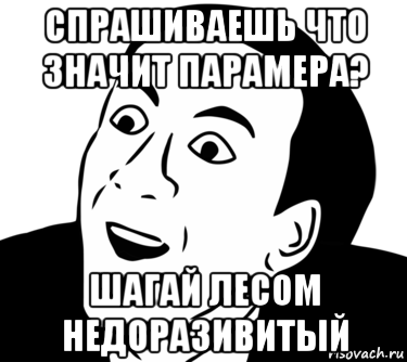 спрашиваешь что значит парамера? шагай лесом недоразивитый