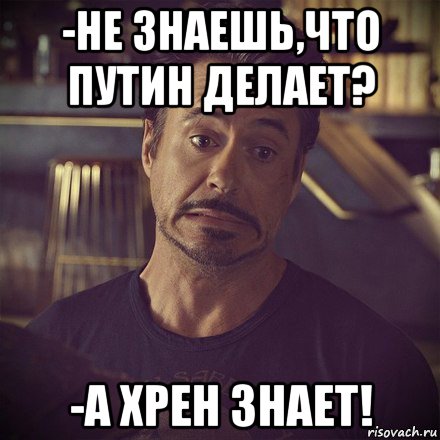 -не знаешь,что путин делает? -а хрен знает!, Мем   дауни фиг знает