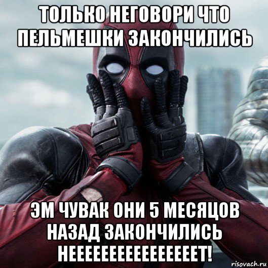 только неговори что пельмешки закончились эм чувак они 5 месяцов назад закончились неееееееееееееееет!, Мем     Дэдпул