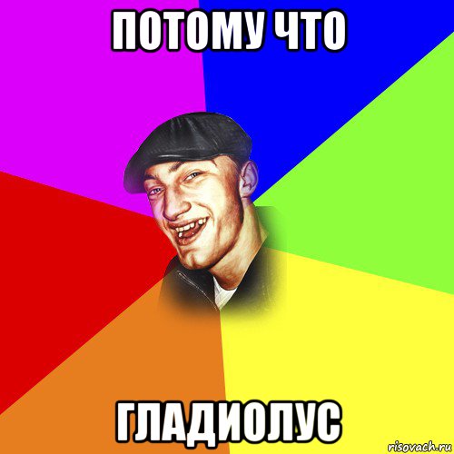 потому что гладиолус, Мем ДЕРЗКИЙ БЫДЛОМЁТ