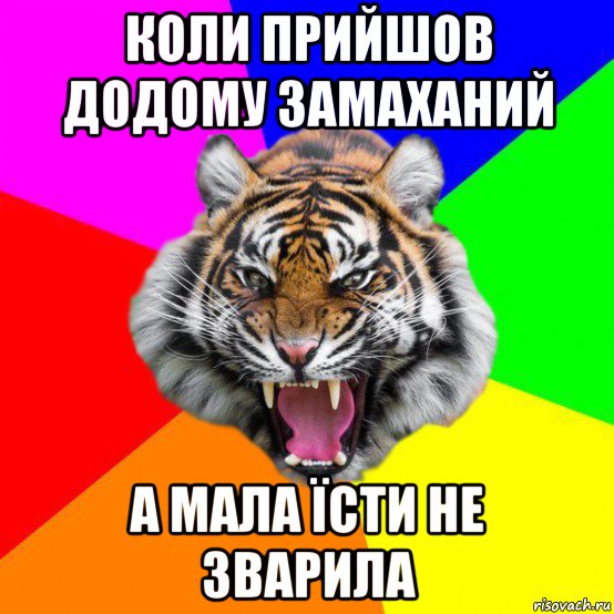 коли прийшов додому замаханий а мала їсти не зварила, Мем  ДЕРЗКИЙ ТИГР