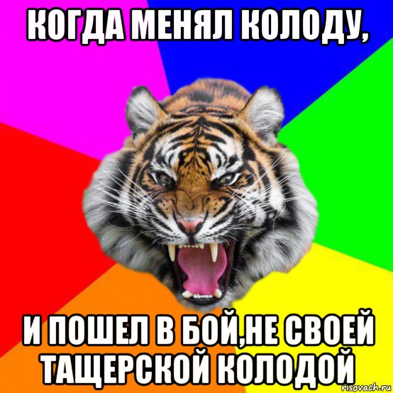 когда менял колоду, и пошел в бой,не своей тащерской колодой, Мем  ДЕРЗКИЙ ТИГР