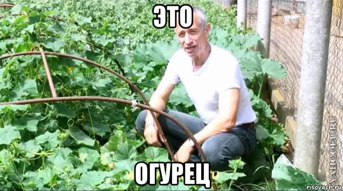 это огурец, Мем  Доктор попов