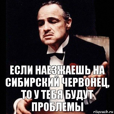 если наезжаешь на сибирский червонец, то у тебя будут проблемы, Комикс Дон Вито Корлеоне 1