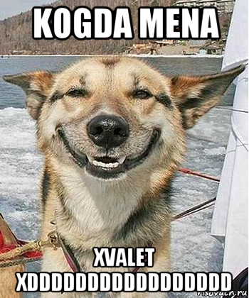 kogda mena xvalet xddddddddddddddddd