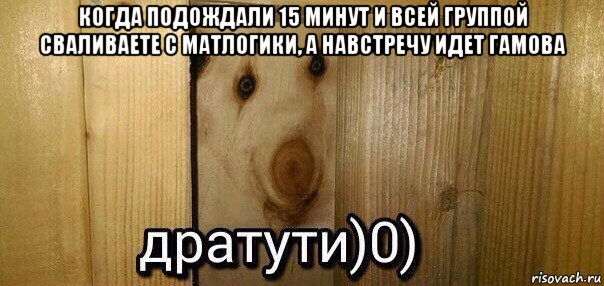 когда подождали 15 минут и всей группой сваливаете с матлогики, а навстречу идет гамова , Мем  Дратути