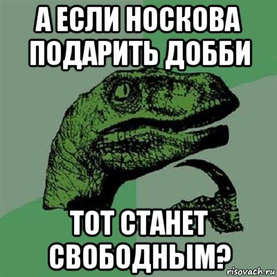 а если носкова подарить добби тот станет свободным?, Мем Филосораптор