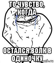 то чувство, когда остался волк в одиночку, Мем Forever Alone