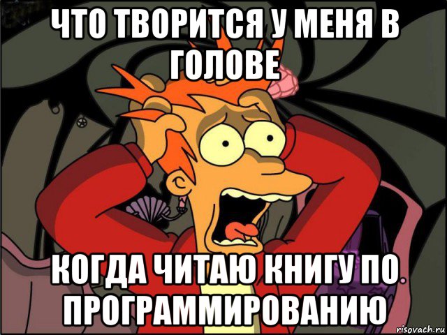 что творится у меня в голове когда читаю книгу по программированию, Мем Фрай в панике